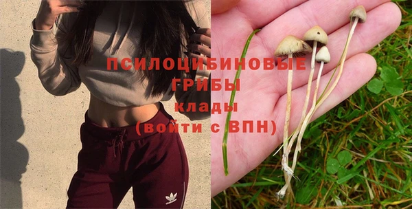 экстази Абаза