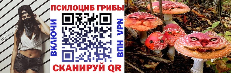 купить наркотики сайты  Тутаев  Галлюциногенные грибы Psilocybine cubensis 
